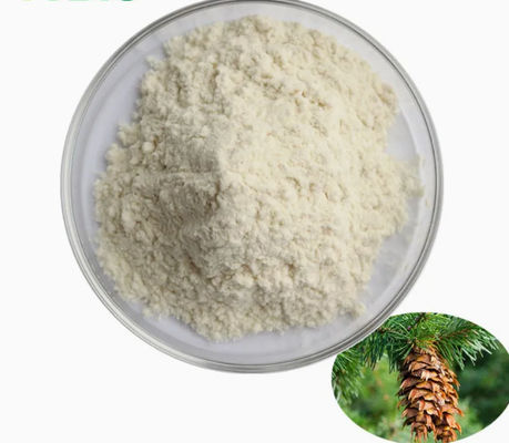 Supplemento naturale Taxifolina diidroquercetina 80% 95% 98% CAS NO 480-18-2 Estratto in polvere