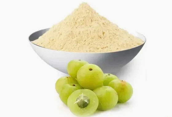 Biologica 10:1 Estratti di frutto di filamento CAS NO 90028-28-7 Estratto di frutto di filamento