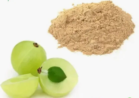 Biologica 10:1 Estratti di frutto di filamento CAS NO 90028-28-7 Estratto di frutto di filamento