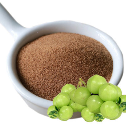 Biologica 10:1 Estratti di frutto di filamento CAS NO 90028-28-7 Estratto di frutto di filamento