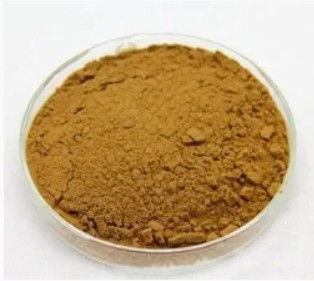 Estratto di fumaria naturale al 100% CAS NO 10097-84-4 10% Tannini Estratto di fumaria officinalis