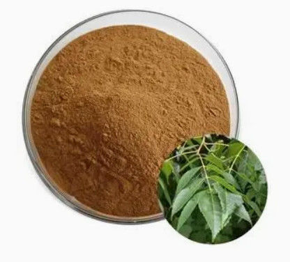 CAS NO 68915-32-2 Estratto di Picrasma quassioides