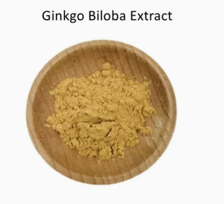 Farmaceutico Sanità Estratto di Ginkgo Biloba CAS NO 84696-15-1 Polvere naturale pura