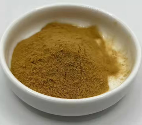 Farmaceutico Sanità Estratto di Ginkgo Biloba CAS NO 84696-15-1 Polvere naturale pura