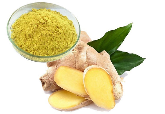 Farmaceutico Sanità Estratto di Ginkgo Biloba CAS NO 84696-15-1 Polvere naturale pura