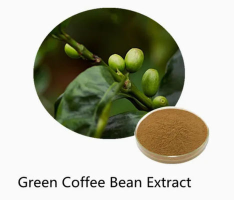Farmaceutico Sanitario Estratto di chicchi di caffè verde CAS NO 327-97-9 Polvere naturale pura