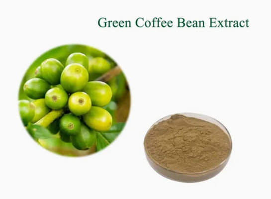 Farmaceutico Sanitario Estratto di chicchi di caffè verde CAS NO 327-97-9 Polvere naturale pura