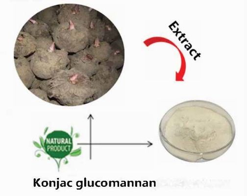 Polvere di glucomannano di konjac naturale CAS NO 37220-17-0