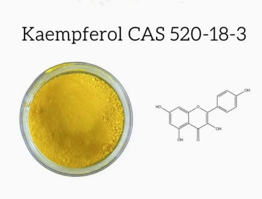 Integratore per la salute in polvere di Kaempferolo, estratto di Galanga, CAS No 520-18-3, Pura Natura