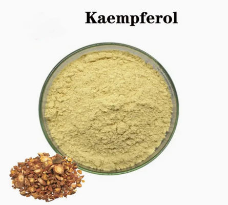 Integratore per la salute in polvere di Kaempferolo, estratto di Galanga, CAS No 520-18-3, Pura Natura