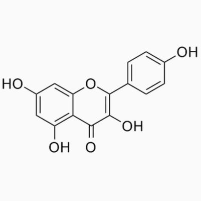 Supplemento sanitario Kaempferol in polvere Estratto di Galanga CAS 520-18-3 Natura pura