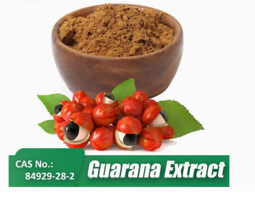 Supplemento per la salute Estratto di Paullinia Cupana Cas n. 84929-28-2 Estratti di semi di guarana