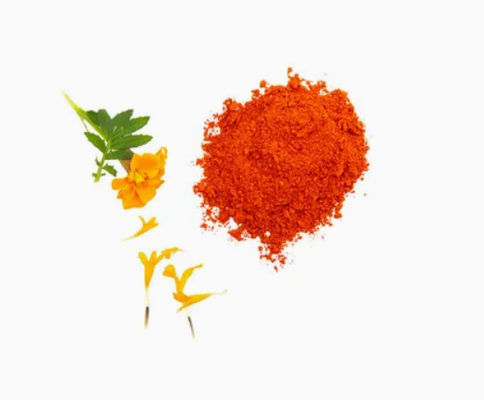 Luteina Naturale 5% 20% in Polvere CAS No 127-40-2 Pigmento Naturale Animale in Polvere per Mangimi