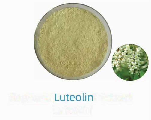 Estratto vegetale naturale Luteolina 98% CAS NO 491-70-3 HPLC Polvere antivirale Luteolina