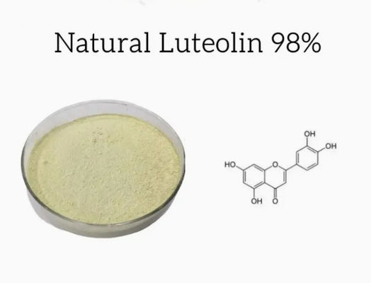 Estratto vegetale naturale Luteolina 98% CAS NO 491-70-3 HPLC Polvere antivirale Luteolina
