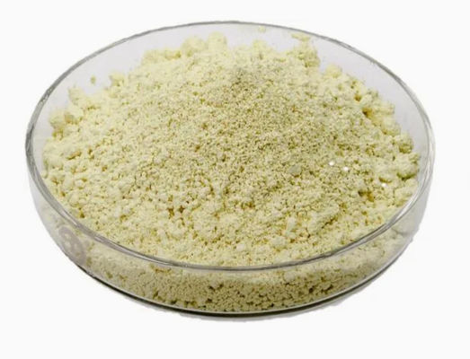 Estratto vegetale naturale Luteolina 98% CAS NO 491-70-3 HPLC Polvere antivirale Luteolina