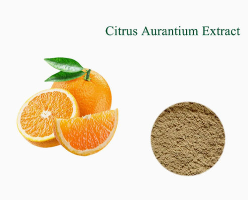 Synephrine Citrus Aurantium Extract Bitter Orange Extract CAS NO 13241-33-3 Peel Powder