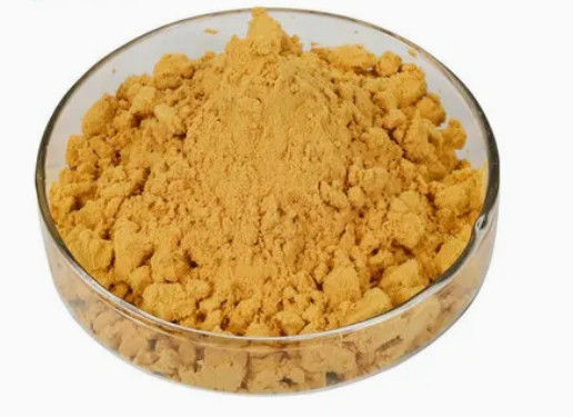 Synephrine Citrus Aurantium Extract Bitter Orange Extract CAS NO 13241-33-3 Peel Powder
