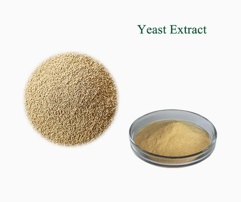 Estratto di lievito naturale certificato ISO 100% CAS NO 8013-01-2 Esaltatori di sapidità per alimenti
