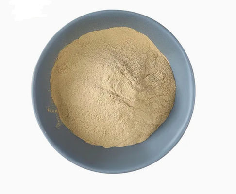 Estratto di lievito naturale certificato ISO 100% CAS NO 8013-01-2 Esaltatori di sapidità per alimenti