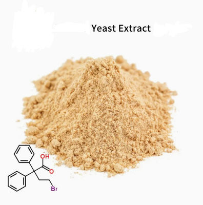 Estratto di lievito naturale certificato ISO 100% CAS NO 8013-01-2 Esaltatori di sapidità per alimenti