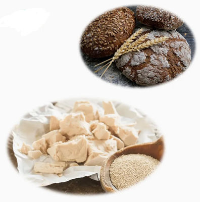 Estratto di lievito naturale certificato ISO 100% CAS NO 8013-01-2 Esaltatori di sapidità per alimenti