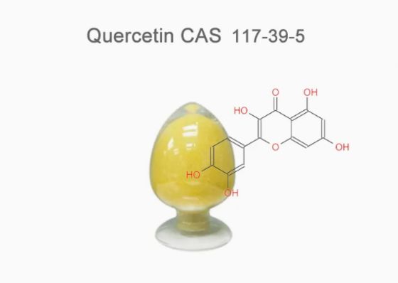 Estratto vegetale di quercetina anidra di grado farmaceutico CAS NO 117-39-5 Polvere gialla