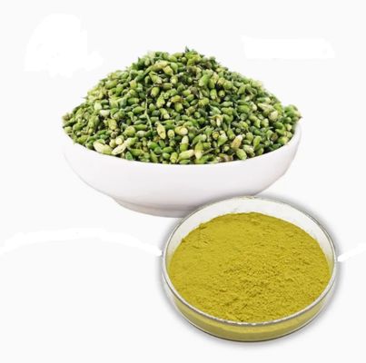 Estratto vegetale di quercetina anidra di grado farmaceutico CAS NO 117-39-5 Polvere gialla